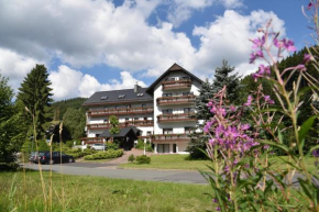 Отель Hotel Thüringer Wald  Ильменау